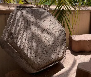 Imagem de capa do card